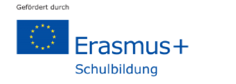 Erasmus Schulbildung